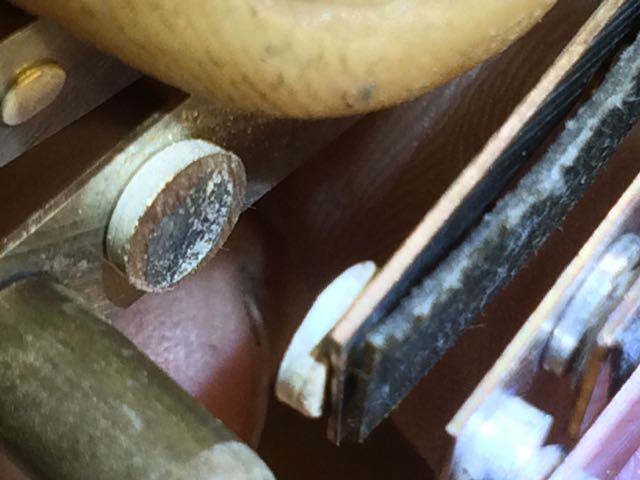 before. strange coloring..jpg